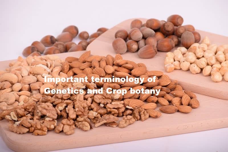 Important terminology of Genetics and Crop botany