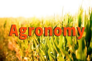 Define agronomy