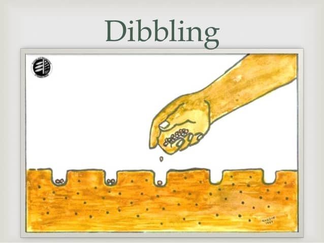 Dibbling Method