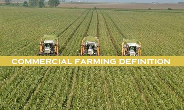 Commercial Farming Definition and Types of Farming