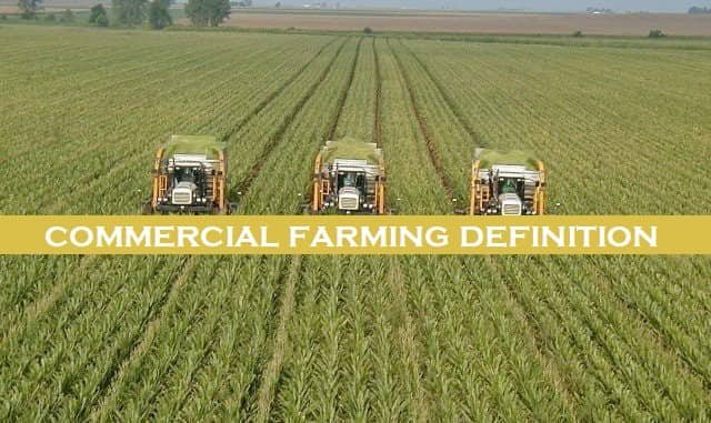 What Is Commercial Farming Meaning In Hindi