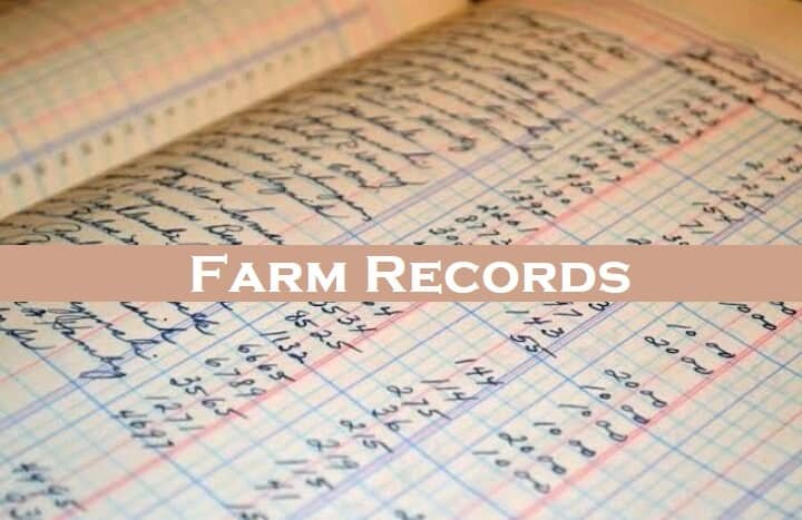 why-farmers-need-to-keep-farm-records-businessday-ng