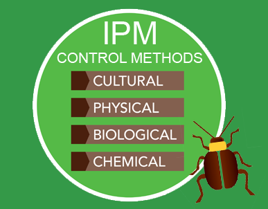 Cultural method of IPM (Integrated Pest Management)