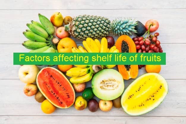 Factors affecting shelf life of fruits