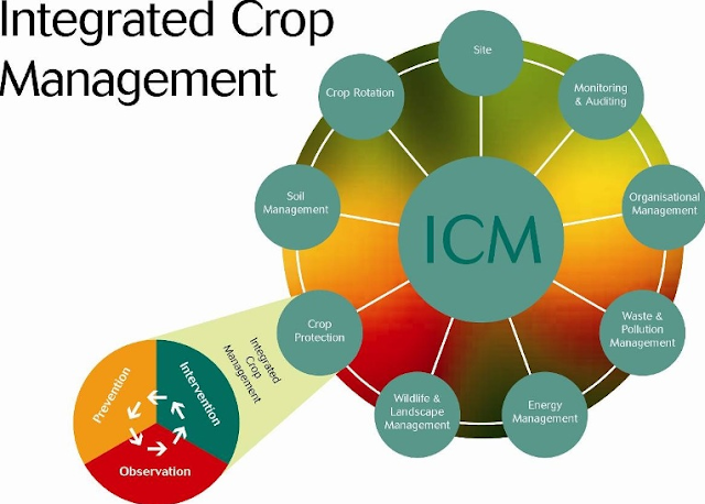 Integrated Crop Management [Deﬁnition, Principles, Components] - Basic