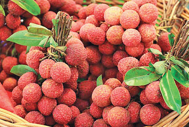 Fruit production in Bangladesh