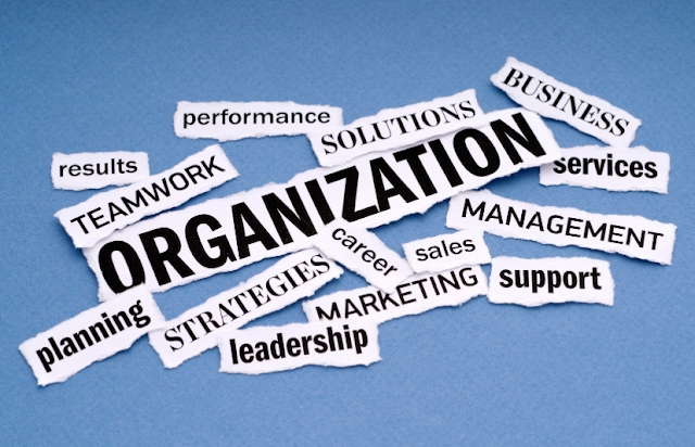 Best definition of organization with objectives