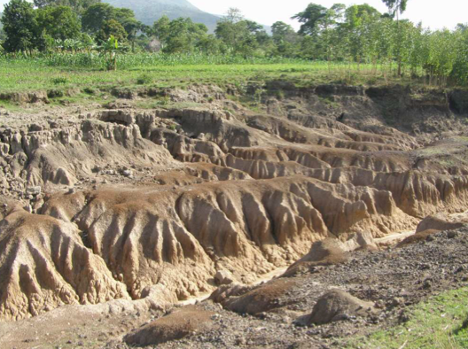 Causes of Soil Depletion