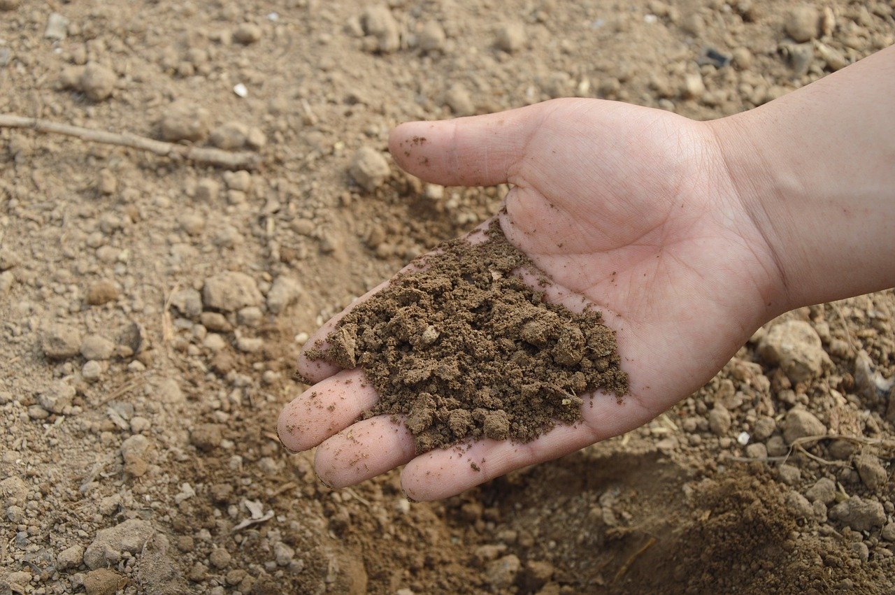 Soil Fertility and Productivity difference