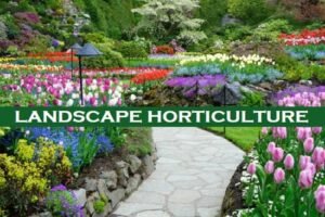 Best Definition And Objectives Of Landscape Horticulture - Basic ...