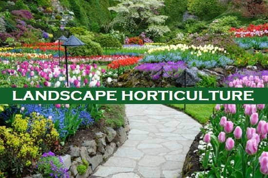 Landscape Horticulture