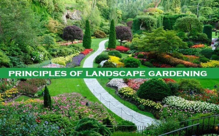 basic-12-principles-of-landscape-gardening-basic-agricultural-study