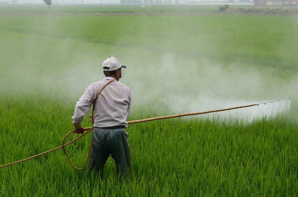 What Is Herbicide Selectivity? 13 Factors Of Selectivity