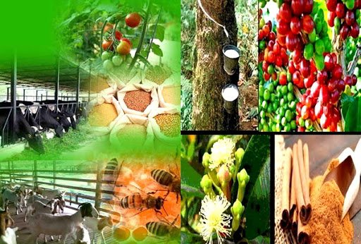 Problems of Agribusiness in Bangladesh