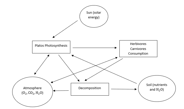 Classification of Ecosystem