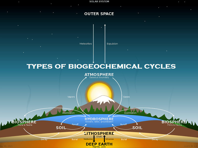 Basic 6 types of biogeochemical cycles with examples
