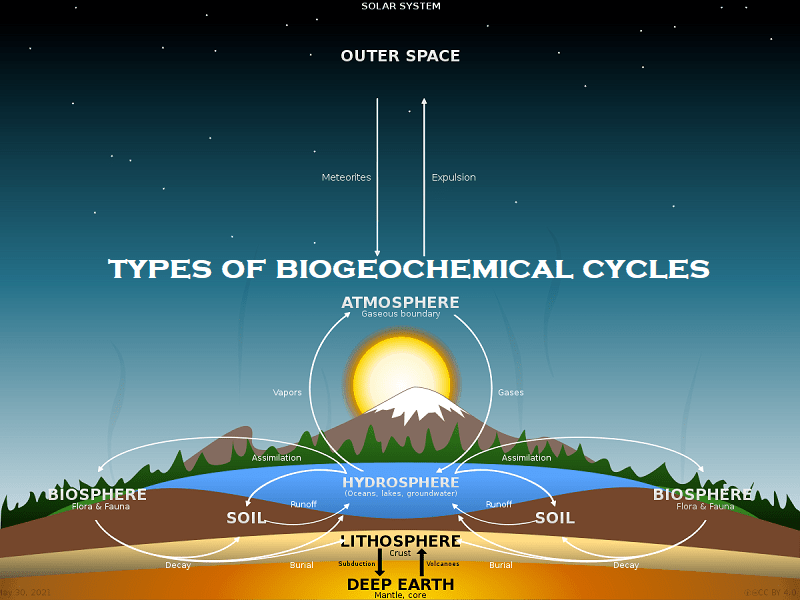 Which Biogeochemical Cycle Does Not Involve The Atmosphere