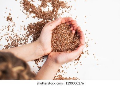 importance of seeds in agriculture