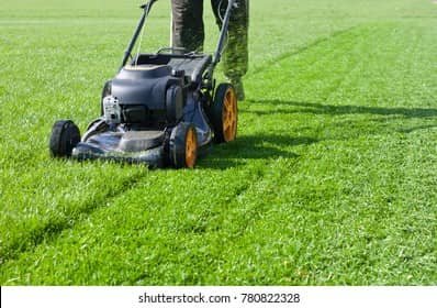 mowing