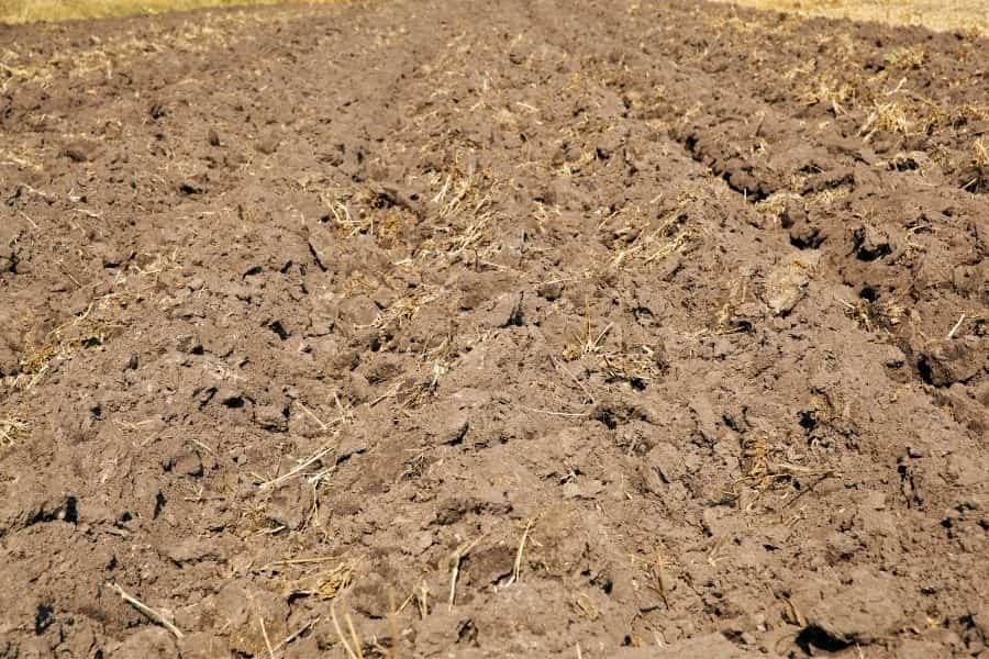 what is tillage