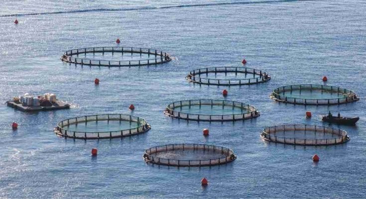 Aquaculture Systems - land and water-based - Basic Agricultural Study