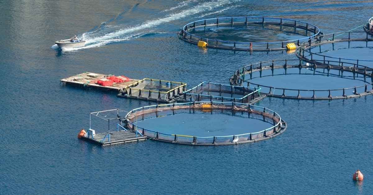 What is aquaculture? principles, systems, and management