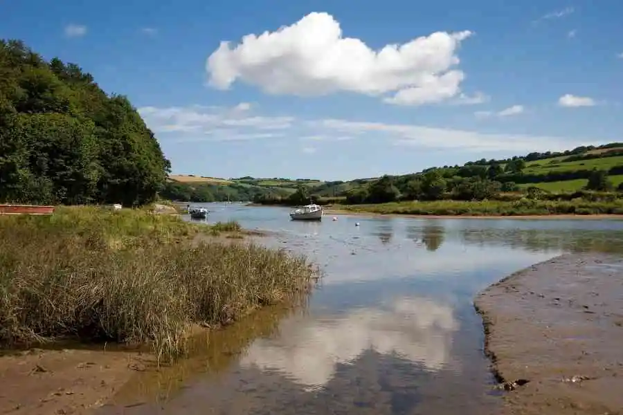 Estuaries