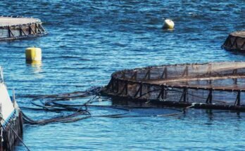 Water quality in aquaculture