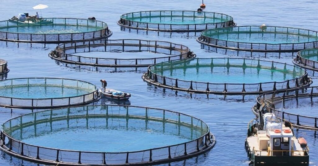 Types Of Fish Farming Explained Basic Agricultural Study