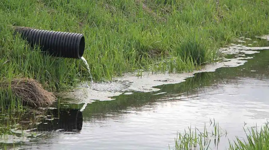 Soil and Water Management in pond