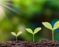Important 9 Benefits of Agroecology