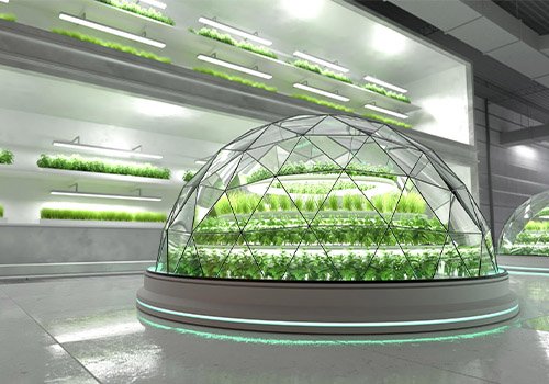 Evolution in Hydroponics