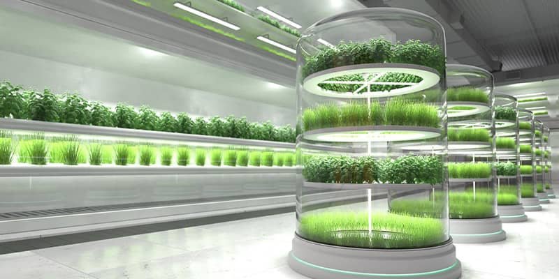 Innovations in Hydroponics