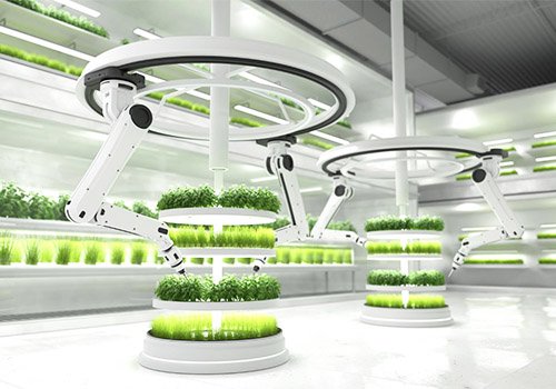 robotics in hydroponics