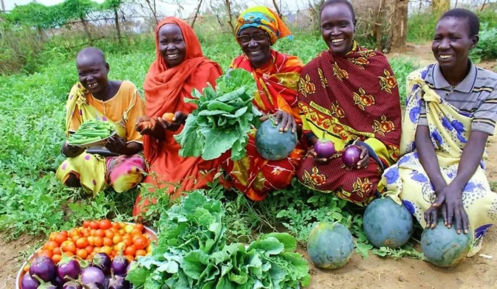 Role of Subsistence Farming in Poverty Alleviation