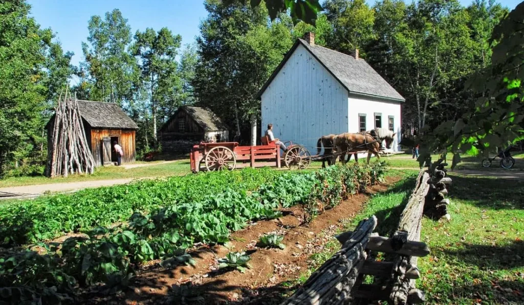 Types of Subsistence Agriculture with Features and Examples